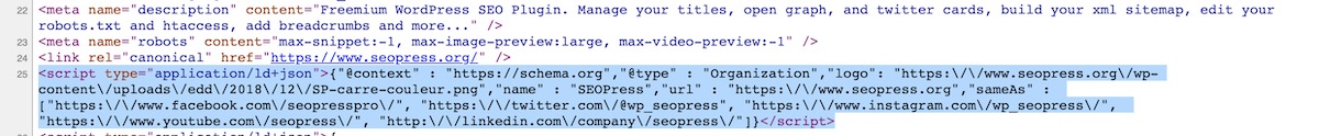 SEOPress - Schema Organization