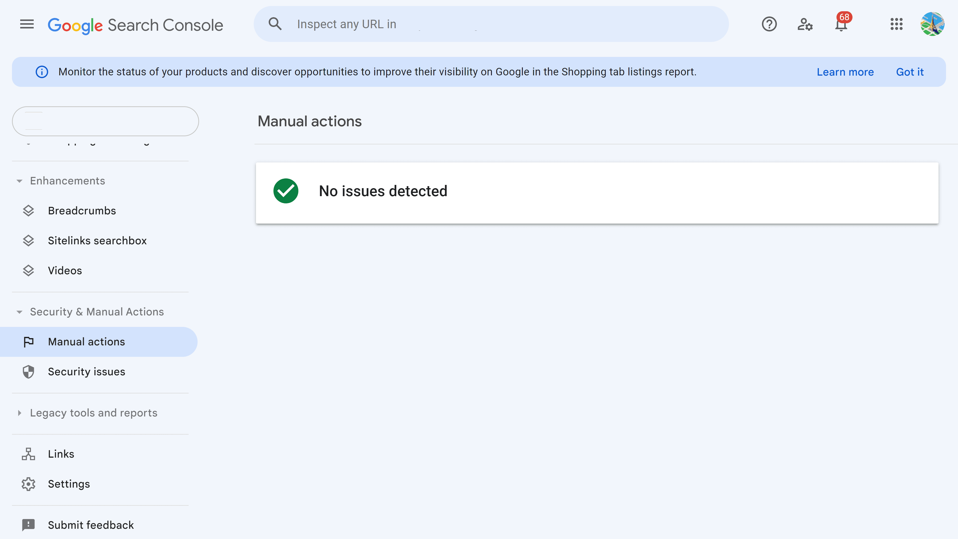 There is no manual action on this site